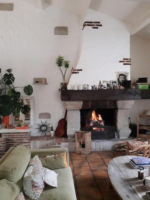 Ahoma, Sejour Bien-Etre, Calme Et Serenite. Labruguière Extérieur photo