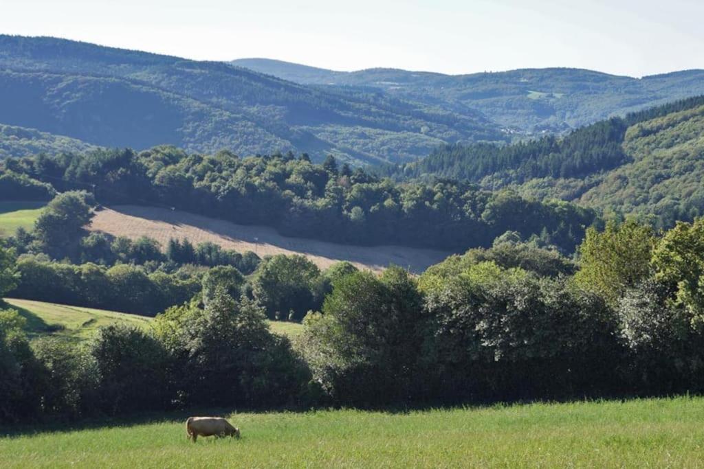 Ahoma, Sejour Bien-Etre, Calme Et Serenite. Labruguière Extérieur photo