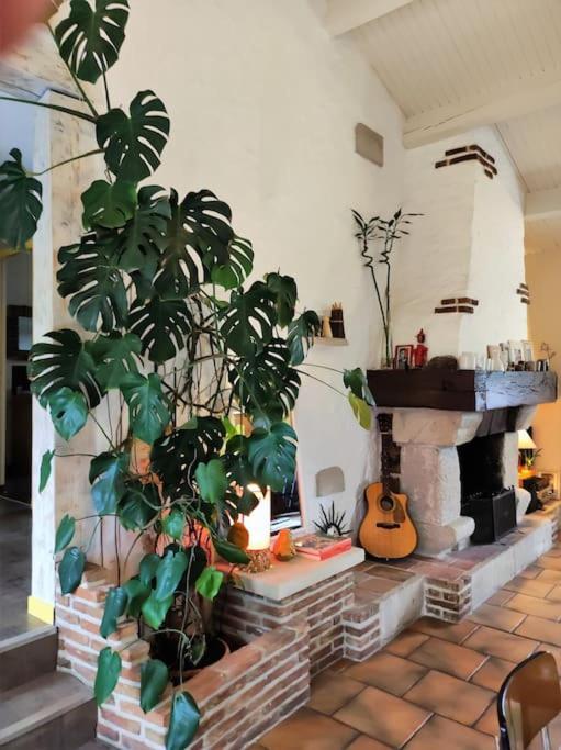 Ahoma, Sejour Bien-Etre, Calme Et Serenite. Labruguière Extérieur photo