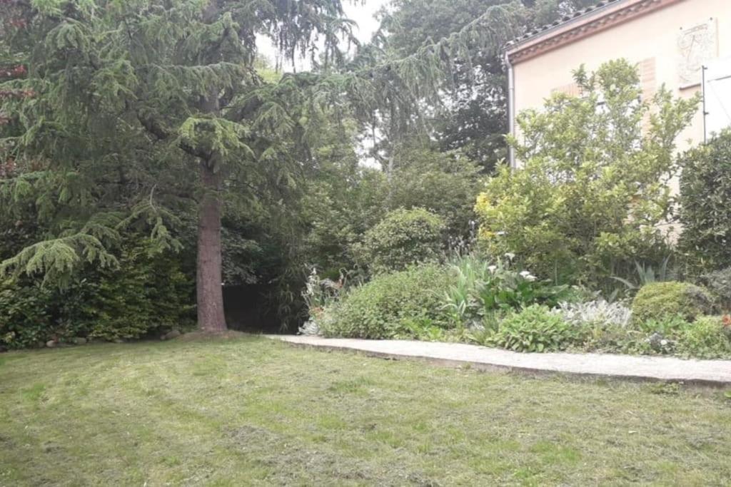 Ahoma, Sejour Bien-Etre, Calme Et Serenite. Labruguière Extérieur photo